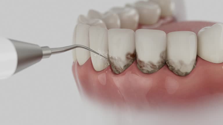 Reliable Dental contractor in St. Ignace, MI by Dentist Open Now